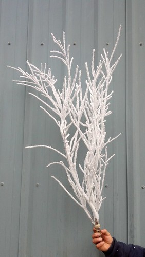 flocked christmas branches