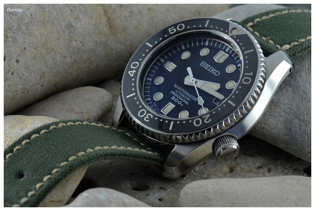 MarineMaster 300 owner's club - tome XXV - Page 9 32140681135_efdf95ea17_b