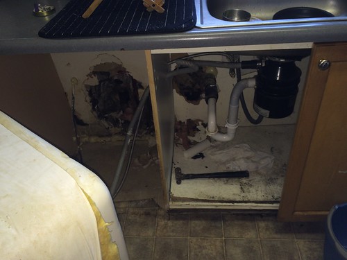 Dishwasher Fiasco (Dec 9 2015)
