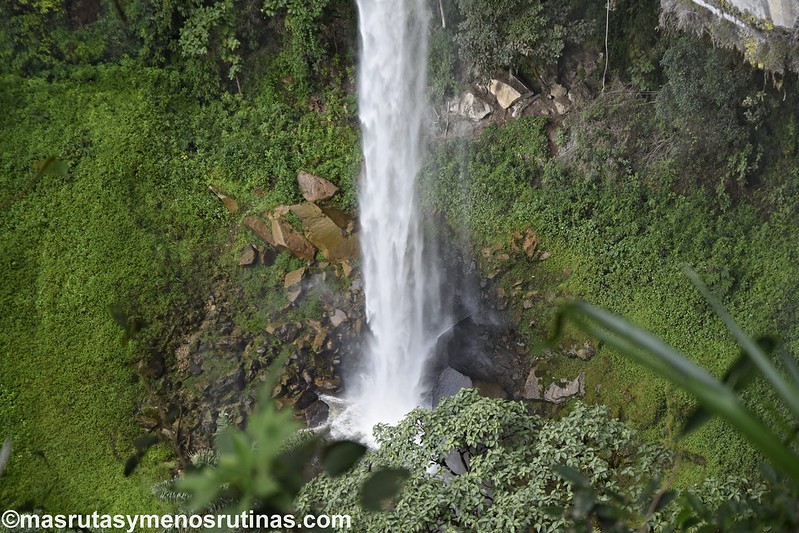 Yumbilla. Cataratas en el bosque primario de Cuispes - Por el norte de PERÚ. De los glaciares a la selva (12)