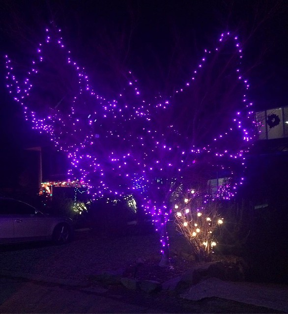 Oooh, I wanna do purple outdoor Christmas lights next year. 💜