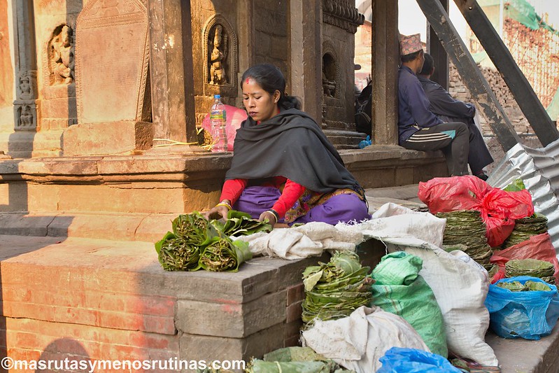 NEPAL 2016. Trek al Annapurna Sanctuary (ABC) - Blogs de Nepal - De nuevo en Kathmandu (10)