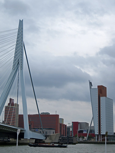 The striking design of the Rotterdam Bridge