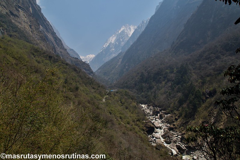 NEPAL 2016. Trek al Annapurna Sanctuary (ABC) - Blogs de Nepal - Trek ABC. De Sinuwa (2320 m) a Deurali (3150 m) (7)