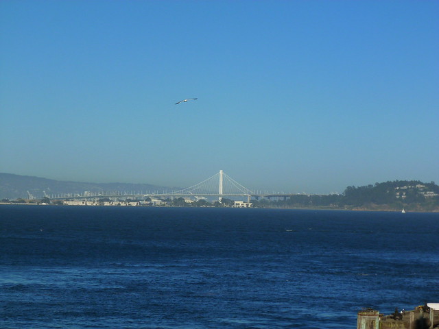 En Ruta por los Parques de la Costa Oeste de Estados Unidos - Blogs de USA - Golden Gate Park. Varios. Alcatraz. SAN FRANCISCO (78)