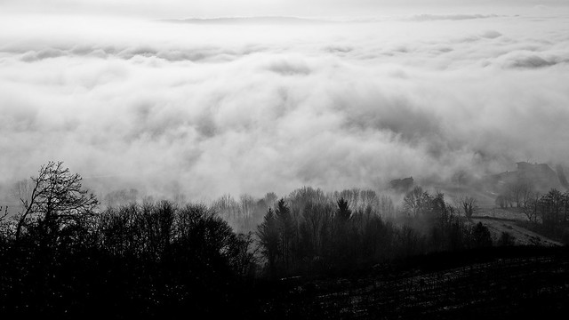 Fog 2012