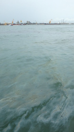Oil spill in the Johor Strait (4 Jan 2017) from Punggol Jetty