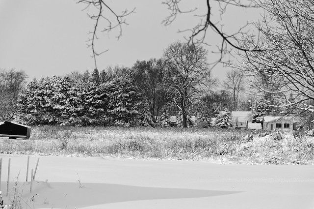 Mulliken in the Snow