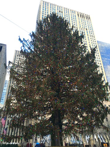 Rockefeller Tree
