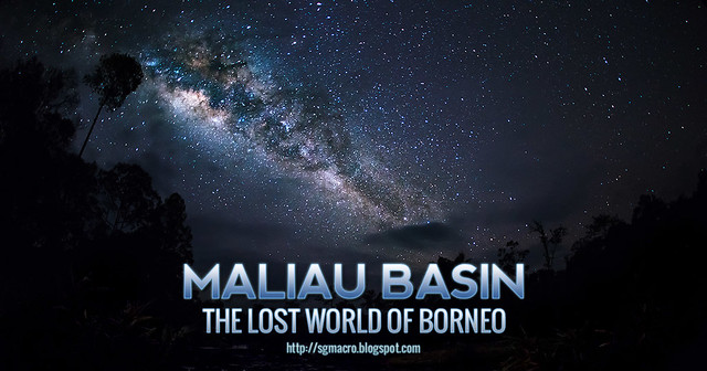 Maliau Basin - The Lost World of Borneo