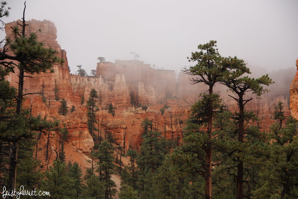 Bryce Canyon National Park_feistyharriet_2015 (8)
