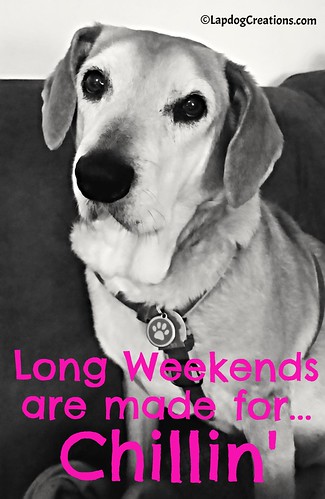 Sophie says, Long Weekends are made for Chillin' #houndmix #rescuedog #seniordog #LapdogCreations ©LapdogCreations