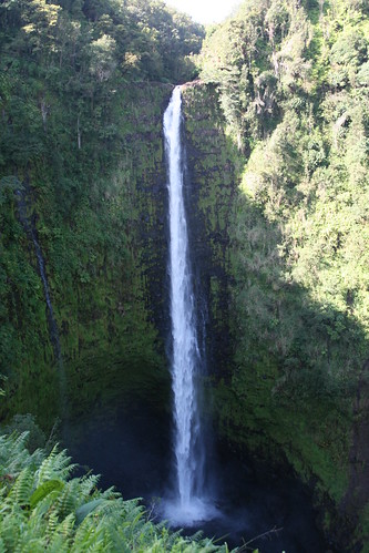 Akaka Falls, 442feet high