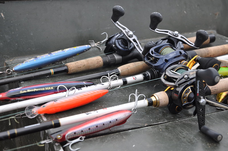 Falcon Cara Casting Rods