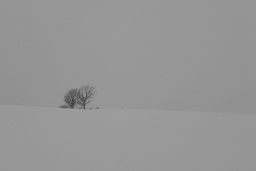 Hills and Trees at Biei on JAN 09, 2016 (7)