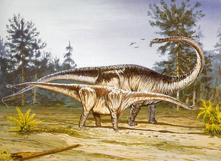 Barosaurus | Wikipedia link This is part of a series scanned… | Flickr