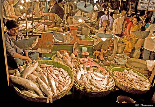 Typical Fish Market | Kolkata | Shot @ Manicktala, North Kol… | Flickr