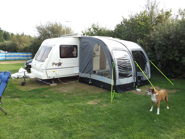 Pet Travel - The Dos And Don’ts of Caravanning With Pets
