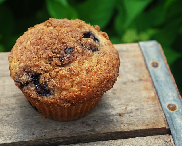 Blueberry Muffin solo