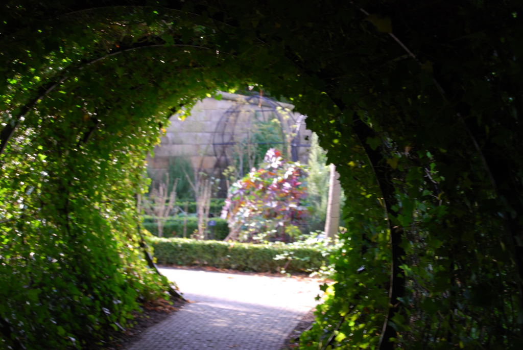 Paradise Garden Alnwick That Hides A Poisonous Secret