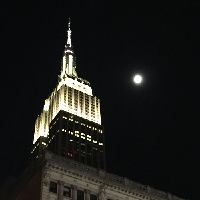 Empire state by moonlight