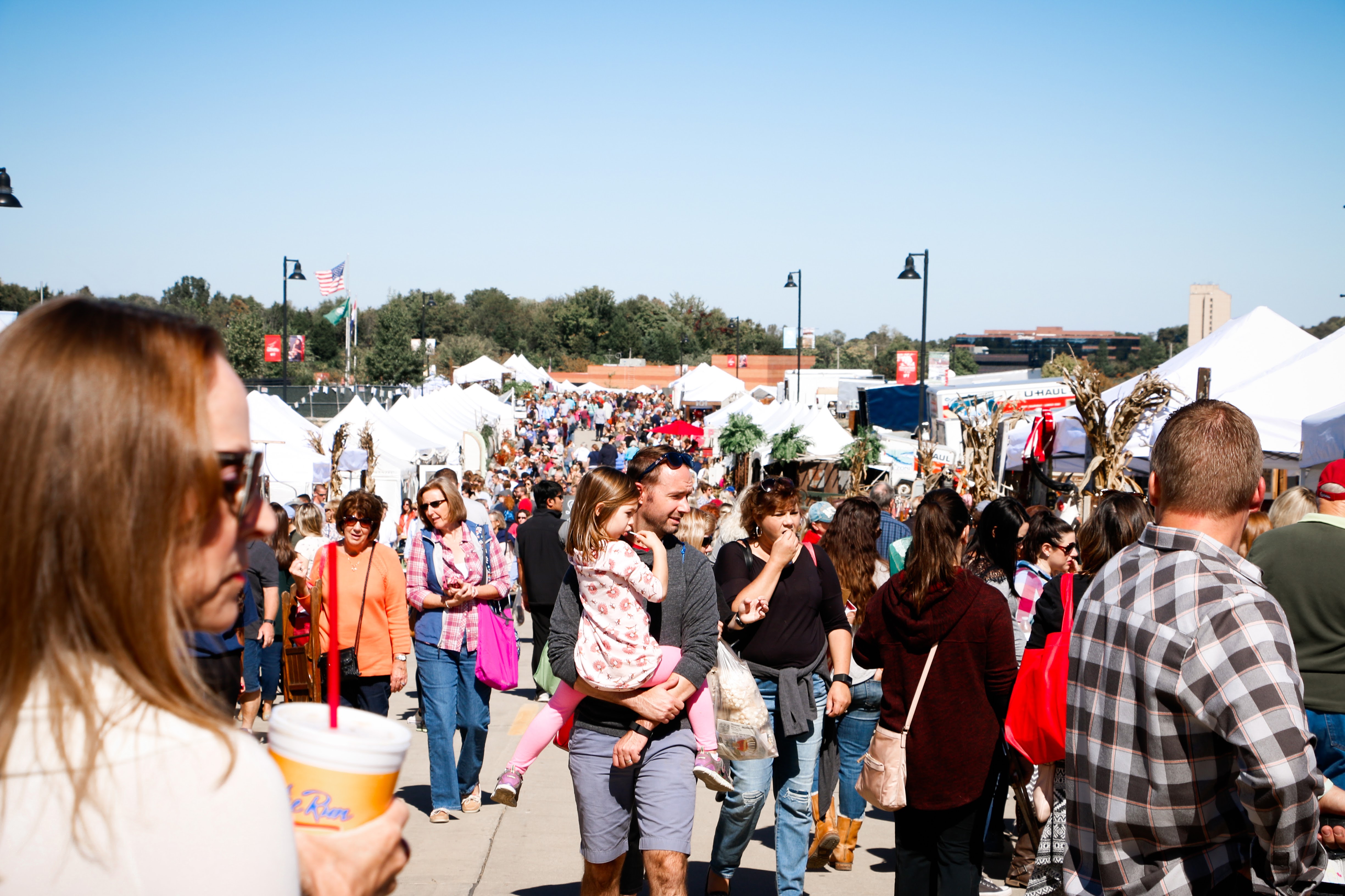 Vintage Market Days of St. Louis area-FALL EVENT 2017