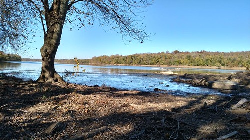 Potomac River 2016-11-13b