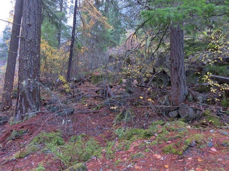 Old flume remains in the Lower White River Wilderness