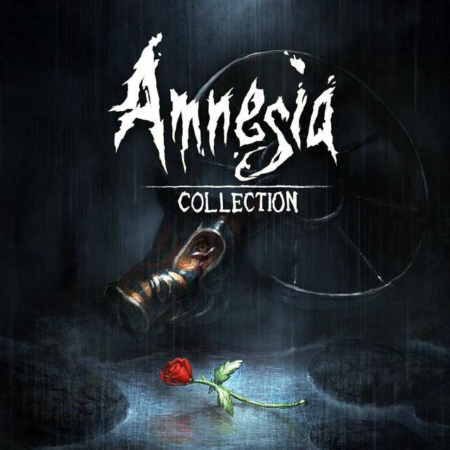 Amensia Collection