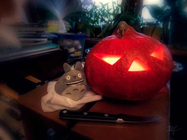 Day #304: totoro is preparing for the celebration