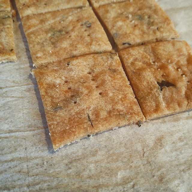 Rich Herbed Crackers