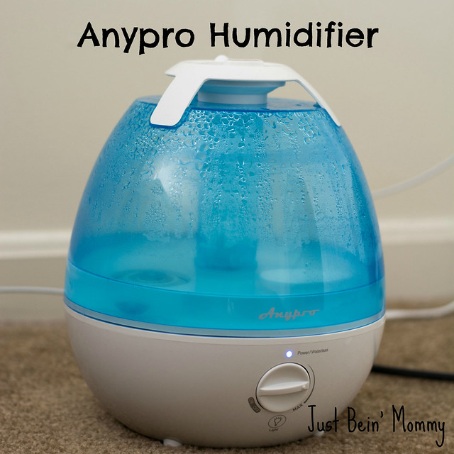 Anypro Humidifier