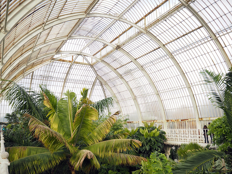 The Palm House at Kew Gardens, London
