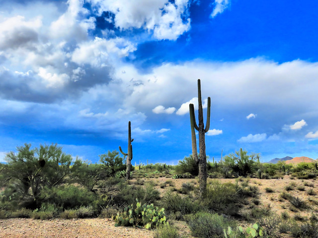 Tucson desert HDR 20161103