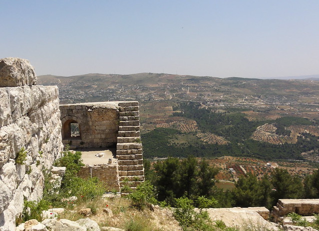 Recuerdos de Jordania: La maravillosa Petra y bastante más. - Blogs de Jordania - Amman, Castillo de Ajlun y Jerash (Gerasa). (28)
