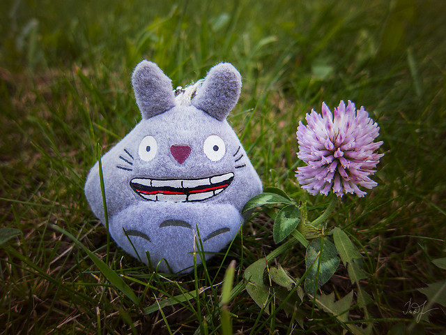 Day #284: totoro likes the modest charm of simplicity