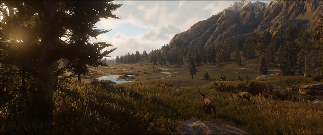Red Dead Redemption 2 - Graphics