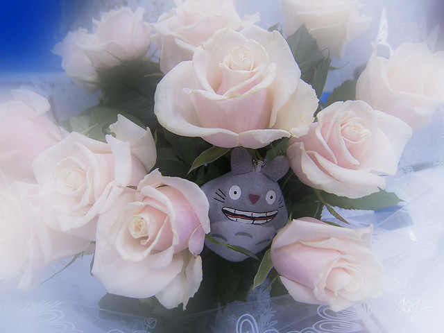 Day #264: totoro was lost in tenderness