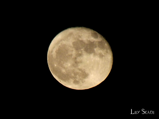 Super moon (night after)