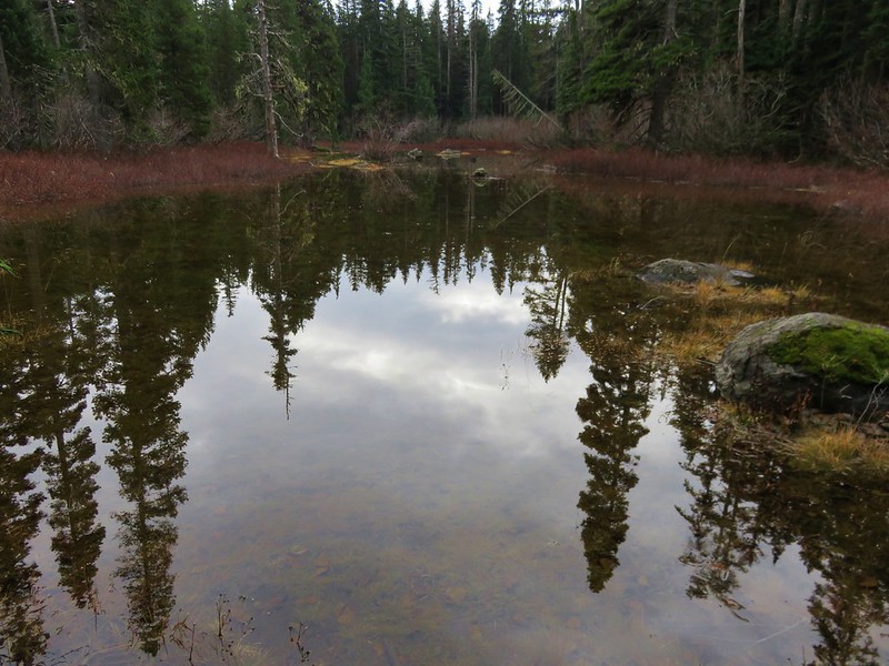 Pond along the North Lake Trail