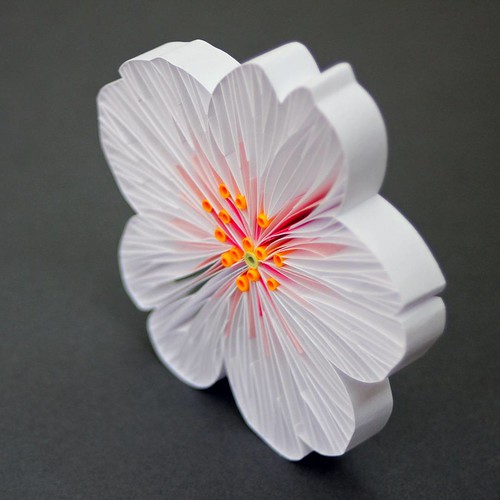 Quilled Cherry Blossom - in progress by JUDiTH+ROLFE