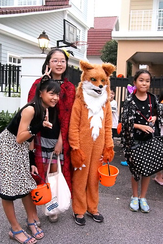 Fantastic Mr. Fox. Halloween 2016 at Woodgrove, Woodlands, Singapore