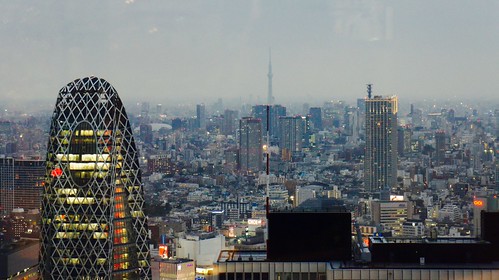 Día 11: Tsukiji, Ginza, Palacio, Estación de Tokyo, shinjuku y Godzilla - Luna de Miel por libre en Japon Octubre 2015 (41)