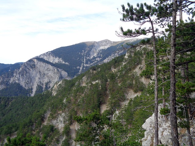 Schneeberg Großen Sonnenplattenweg 330m (6)