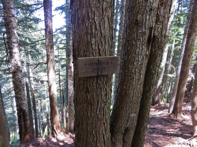 Wildcat Trail junction with the Huffman Peak Trail