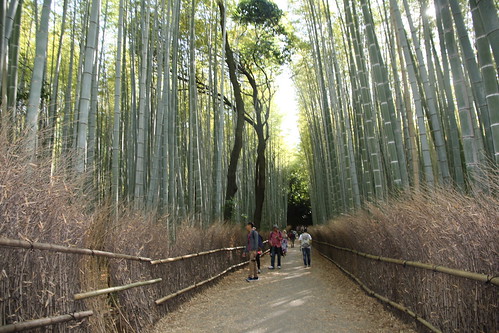 Arashiyama Bamboo Grove 2016