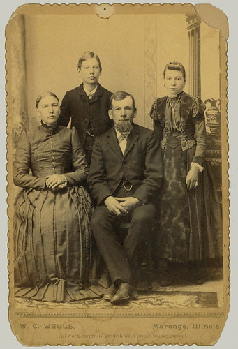 Cabinet Card family