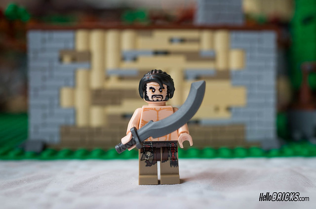 Lego Game of Thrones Custom by Quentin