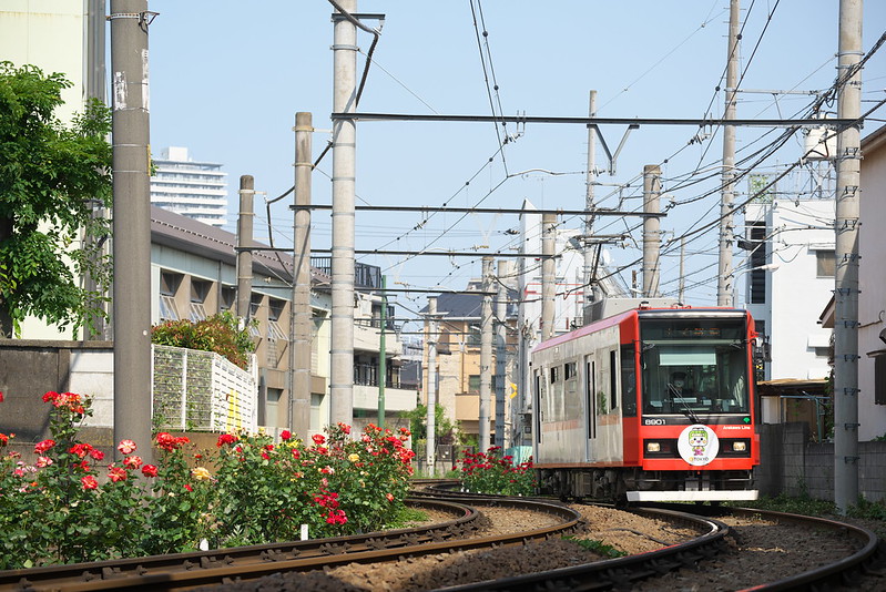 Tokyo Train Story 都電荒川線 2016年5月22日
