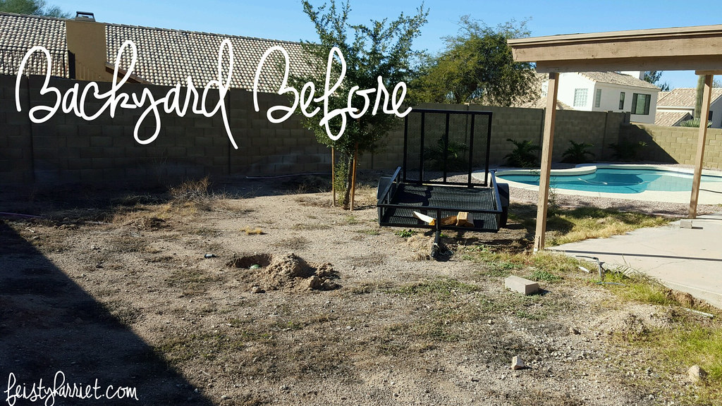Arizona Backyard Before 2_feistyharriet